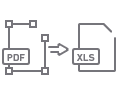 custom pdf to excel